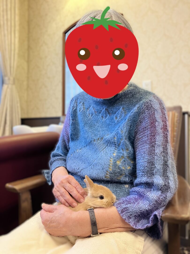 あたたかいお膝でまったりのミニウサちゃん。おばあさんもまったり・・眠くなっちゃう💤