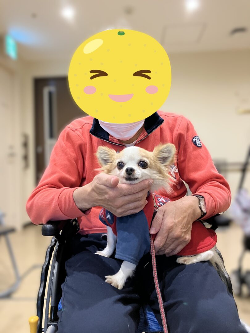 われらがアイドル犬、たけちゃん。
カメラ目線だよ。とおじいさんに支えられ・・得意げです(笑)