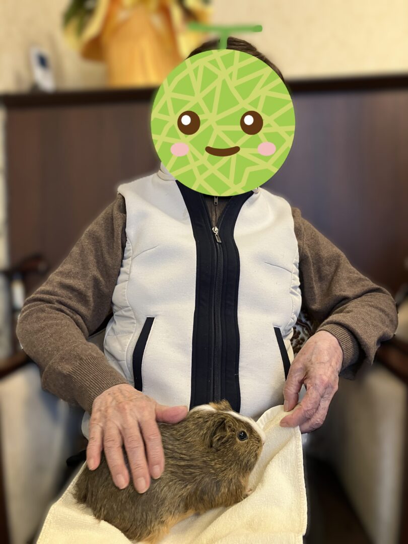 おっかなびっくりおばあちゃん。ちょっとビッグなモルモットに若干体が引いてます💦